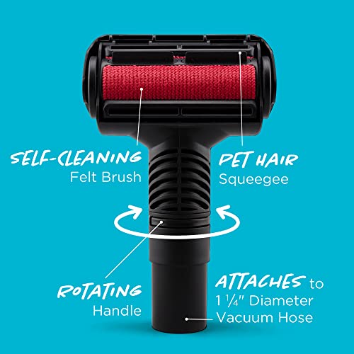 Simplicity Vacuums Jill Canister with Bags, Filter Set, and Pet Upholstery Tool Bundle, Rug and Hardwood Vacuum Cleaner with Dual-Certified HEPA Filter and Bag, Pet Vac