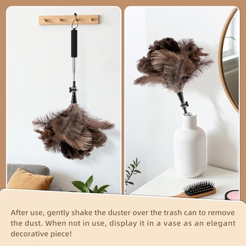 Extendable Ostrich Feather Duster with 19-49 inch Rotatable Stainless Steel Pole, Natural Feather Duster for Ceiling Fan Cobweb Dusting, Reusable Flexible Cleaning Duster(Include 1 Replacement Heads) - color: 49in-brown