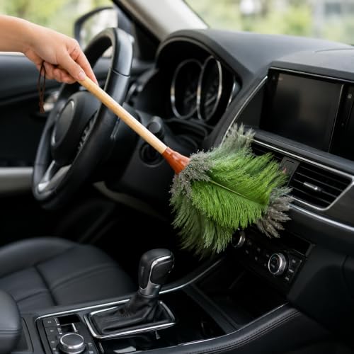 16inch Natural Good Ostrich Feather Duster with Bamboo Handle, Electrostatic Dust Remove for Ceiling,Fans,Bookshelves, Sofa, Windows, Fit for Home, Office and Cars Duster Green - color: Green