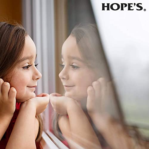 HOPE'S Perfect Glass Cleaner Spray, Streak-Free, Ammonia-Free Window, Mirror, Screen, Tinted Glass, and Shower Door Cleaner, Indoor and Outdoor Glass Surfaces, 32 Fl Oz, Pack of 6 - style: 32 Fl Oz (Pack of 6)