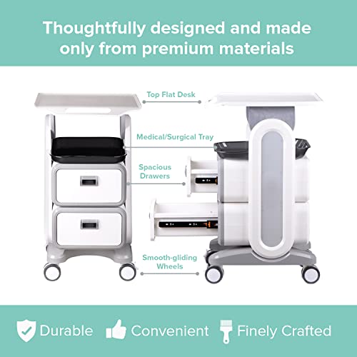 Professional Utility Cart with Wheels - Rolling Dental Office Cart with Drawers - Medical Trolley for Cavitation Machine, Esthetician Supplies, Lab Tools - Salon Trolley - size: 130LB Load / 2 Drawer