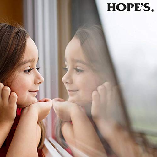 HOPE'S Perfect Glass Cleaner Spray, Streak-Free, Ammonia-Free Window, Mirror, Screen, Tinted Glass, and Shower Door Cleaner, Indoor and Outdoor Glass Surfaces, 32 Fl Oz, Pack of 1 - style: 32 Fl Oz (Pack of 1)