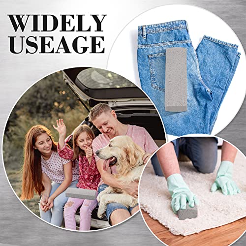 Loopeer 2 Pcs Pet Hair Remover Pumice Stone for Dog Cat Hair Removal Cleaning Pet Fur Stone 6 Inch Dog Fur Cleaning Tool for Car Interior Bedding Carpet Couch Furniture(6 x 2 x 1.6 in) - size: 1 Count (Pack of 1)