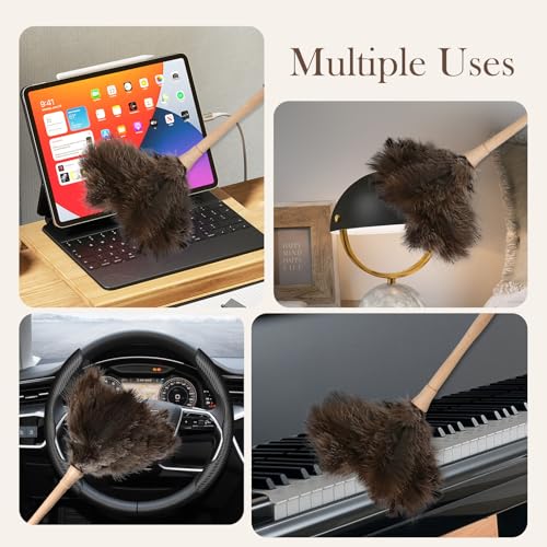 Ostrich Duster Fluffy Natural Feather Dusters with Wooden Handle Cleaning Supplies for Home Office Car (8, 16inch) - color: Natural-c-8pcs