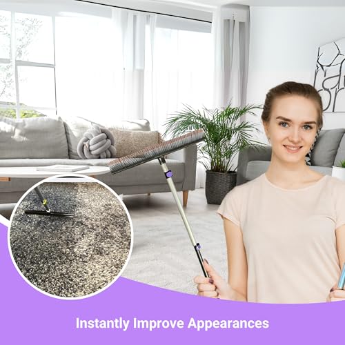 Room Groom PET Carpet Rake Groomer with Telescoping 54 " Adjustable Handle, with Lint Remover Brush Tool, Carpet Brush for Pet Hair and Refreshing Carpets, (Black/Purple) - style: PET + Lint Tool