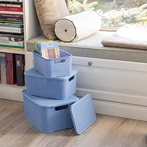 BranQ Home essential Basket with Lid in Rattan Design, Set of 2, Size M, 10 L, BPA-Free Plastic PP, Denim Blue, 28.8 x 19.7 x 16.2 cm, Pack of 2 - color: Denim Blue, size: 10 l