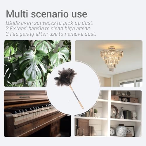 Extendable Ostrich Feather Duster, Natural Ostrich Feathers Long Handle Duster for Cleaning, 47” Soft & Fluffy Feather Duster for High Ceilings, Fans, Walls, Furniture, Home Dusting - color: Ivory B1