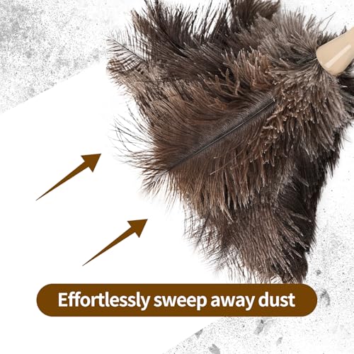 Extendable Cleaning Duster 94 Inch - Long Telescoping Ostrich Feather Dusters with Stainless Steel Extension Pole for High Ceiling Fan, High Ceilings,Roof Dusting - color: Natural-94in-stylee