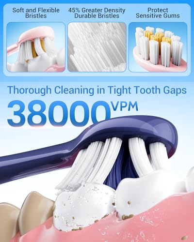 Aneebart Blue & Pink Electric Toothbrush for Adults, USB Rechargeable Sonic Toothbrush with 12 Brush Heads, Smart Timer, 6 Modes, 2-Hour Fast Charge Last 30 Days - color: Blue+pink