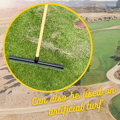 Room Groom Carpet Rake and Groomer with Wood 60" Handle, Sturdy Design, Carpet Brush Ideal for Pet Hair, Refreshing High Pile Carpets, Rugs, and Artificial Turf - style: Wood Handle