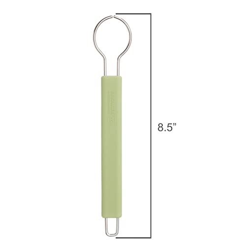 Redecker Dish Brush Set, Silicone Handle – Reed with Tampico & Horsehair Heads – Sustainable Cleaning System, Made in Germany - color: Reed