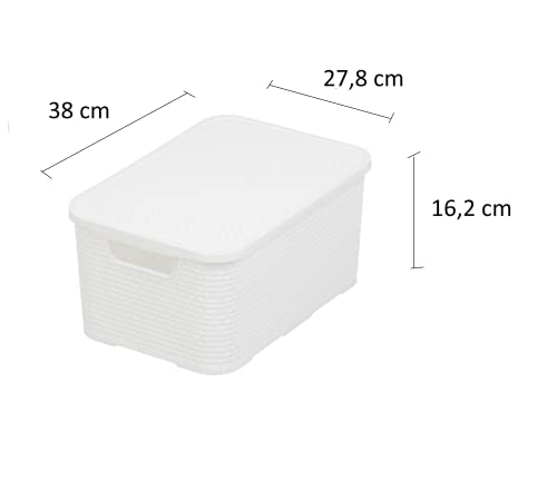 BranQ Home essential Basket with Lid in Rattan Design, Set of 2, Size M, 19 L, BPA-Free Plastic PP, White, 28.8 x 19.7 x 16.2 cm, Pack of 2 - color: White, size: 19 l