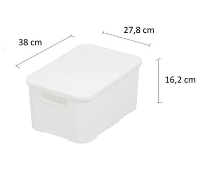 BranQ Home essential Basket with Lid in Rattan Design, Set of 2, Size M, 19 L, BPA-Free Plastic PP, White, 28.8 x 19.7 x 16.2 cm, Pack of 2 - color: White, size: 19 l