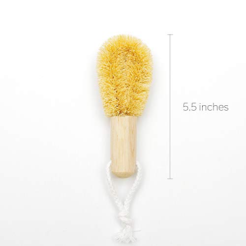 Tawashi a Kitchen Scrub Brush with Handle for Dish, Pan, Pot, Strainer, Sink and Vegetables (Mini)