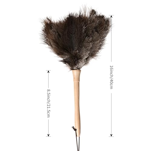 Ostrich Duster Fluffy Natural Feather Dusters with Wooden Handle Cleaning Supplies for Home Office Car (1, 16inch) - color: Natural-c-1pcs