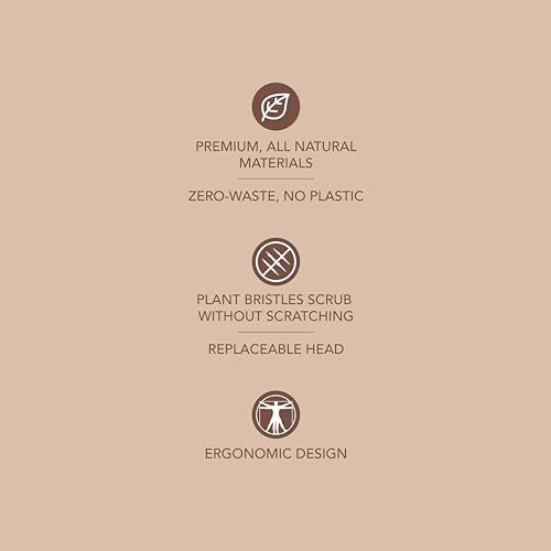 Murchison-Hume Compostable Dish Brush with Wooden Handle, Replaceable Scrubber Head, No Plastic Parts, All-Natural Materials Scrubbing Tool for Cleaning Pans, Pots, and Kitchen Sink, 8.3 inches