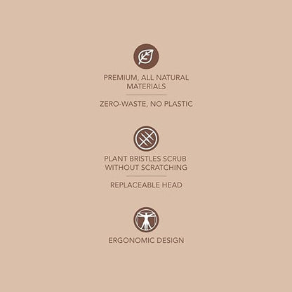 Murchison-Hume Compostable Dish Brush with Wooden Handle, Replaceable Scrubber Head, No Plastic Parts, All-Natural Materials Scrubbing Tool for Cleaning Pans, Pots, and Kitchen Sink, 8.3 inches