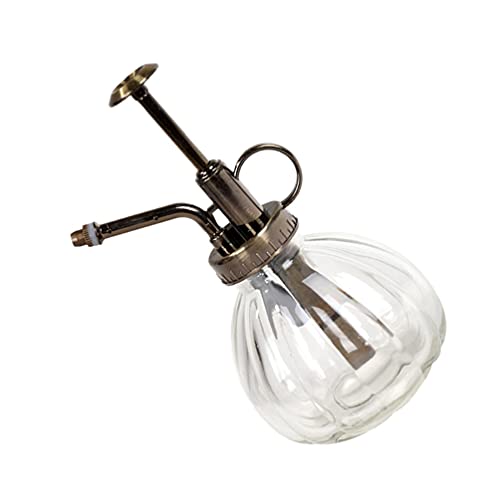 Cabilock Elegant Vintage Pumpkin Design Multi-functional Watering Bottle Sprayer for Home Office - color: Transparent