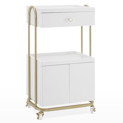 BarberPub Salon Trolley with Universal Wheels, Storage Rolling Cart with Drawer, Barber Shop Tool Organizer for Hair Stylist, SPA Metal Trolley for Storing Skin Cosmetics 2074 (White) - color: White