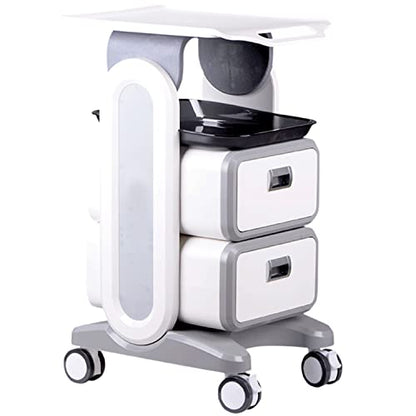 Professional Utility Cart with Wheels - Rolling Dental Office Cart with Drawers - Medical Trolley for Cavitation Machine, Esthetician Supplies, Lab Tools - Salon Trolley - size: 130LB Load / 2 Drawer