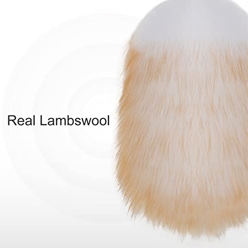 Feather Duster, Lambswool Duster for Cleaning Set of 2, Wooden Handle with Hanging Rope, Washable Reusable Small Hand Duster for Cleaning Wall Plant Desk, Blind Cleaner Duster Tool