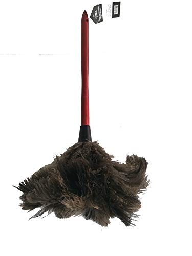 Premium Professional Feather Duster 21" | Natural Handheld Duster for Cleaning & Feather Mopping | Genuine Ostrich Feather with Long Wooden Handle | Eco-Friendly & Reusable (50 cm)
