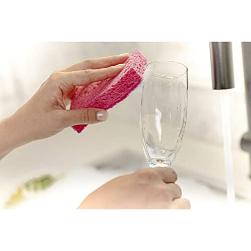 Scotch-Brite Gentle Clean Delicate Scrub Sponges, for Washing Dishes and Cleaning Kitchen, 3 Scrub Sponges (Pack of 2)