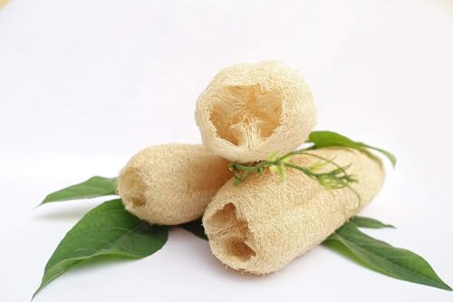 Natural Whole Loofah Sponge (Pack 3) - Exfoliating Body for Bath or Dish Scrubber for Kitchen - 100% Biodegradable Compostable, Dishwashing Scouring Pad, Zero Waste - size: Whole Loofah Pack 3