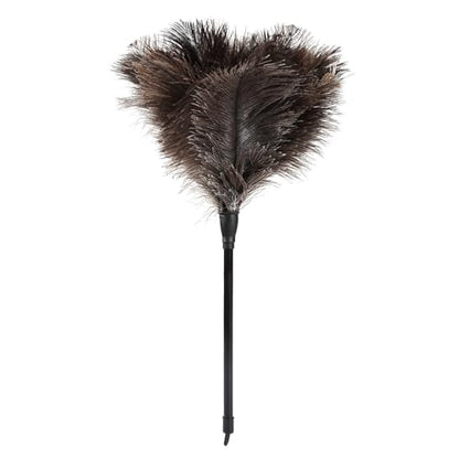Natural Ostrich Feather Duster 14.9 inch Fluffy Mini Dusters with Plastic Handheld for Cleaning Car Keyboard Office 1 Pcs - color: Natural-a-1pcs