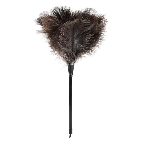 Natural Ostrich Feather Duster 14.9 inch Fluffy Mini Dusters with Plastic Handheld for Cleaning Car Keyboard Office 1 Pcs - color: Natural-a-1pcs