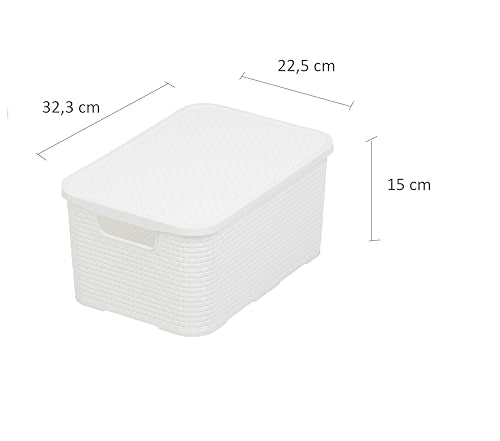 BranQ Home essential Basket with Lid in Rattan Design, Set of 2, Size M, 10 L, BPA-Free Plastic PP, White, 32.3 x 22.5 x 15 cm, Pack of 2 - color: White, size: 10 l