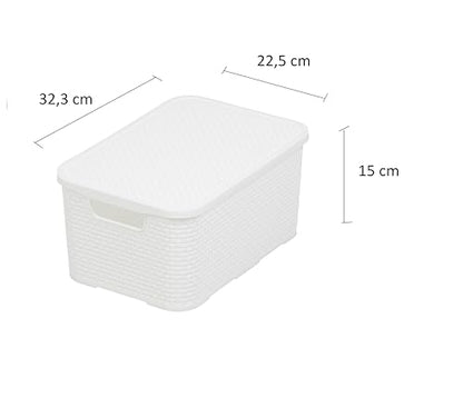 BranQ Home essential Basket with Lid in Rattan Design, Set of 2, Size M, 10 L, BPA-Free Plastic PP, White, 32.3 x 22.5 x 15 cm, Pack of 2 - color: White, size: 10 l