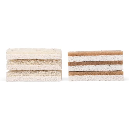 Full Circle Nutcase, Plant-Based Scrubber Sponges – Pack of 6 – 3 Walnut & 3 Coconut – Powerful Natural Sponges Made with Plants & Recycled Materials, Safe for Nonstick - size: Sponge Variety Pack - 6pk