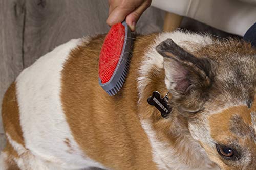 FURemover Duo Pet Hair Rubber Brush, Dual Sided to Easily Remove Fur & Lint from Clothing and Upholstery, Thick Bristles Groom Dogs and Cats, Easy to Clean, Colors May Vary (Pack of 12) - size: 12 Pack, style: FURemover Duo Lint Brush
