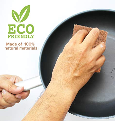 SCRUBIT Natural Scouring Pads (12 Pack) - Eco Friendly Scrubbing Pads for Kitchen Cleaning, Dishes, and Pots - Non-Scratch Kitchen Scrubbers - 100% Natural Sisal Fibers (12 Pack) - size: 6 Count (Pack of 2)