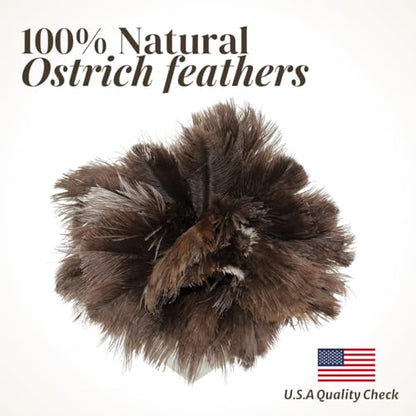 Ostrich Feather Duster with Wooden Handle 14" – Natural Reusable Feather Duster for Cleaning, Furniture & Shelves, Blinds, Ceiling Fan, Dusting Tool for Home, Office, Delicate Surfaces - 1 Pack - size: 1 Pack