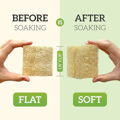 Natural Loofah Dish Sponge (Pack 30) Multipurpose Dish Sponges - 100% Biodegradable Compostable Dishwashing Scouring Pad Zero Waste (2.75" x 2.75" Each) - size: Pack 30
