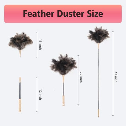Extendable Ostrich Feather Duster, Natural Ostrich Feathers Long Handle Duster for Cleaning, 47” Soft & Fluffy Feather Duster for High Ceilings, Fans, Walls, Furniture, Home Dusting - color: Ivory B1