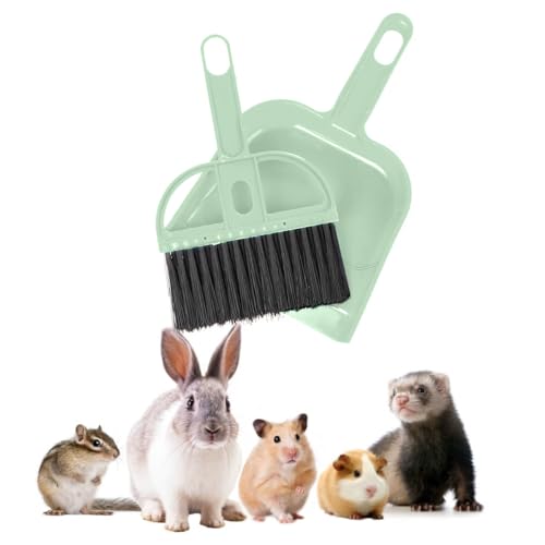 Mini Broom and Dustpan Set - Compact Cleaning Kit for Home, Car, Camping, Small Spaces, Pet Cleanup, and Travel - Durable Small Broom and Dustpan Set Mini - Mint Green Broom - color: Mint Green