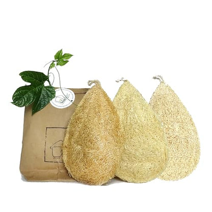 Natural Loofah Dish Sponge Pack 3 Vegetable Scrubber for Kitchen -100% Biodegradable Compostable Dishwashing Scouring Pad Zero Waste Plastic Free Eco Friendly Sustainable - size: Pack 3