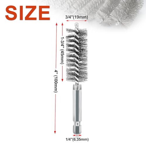 ASNOMY 5Pcs 3/4" Stainless Steel Bore Brush,Wire Brush Bore Cleaning Brush Set for Power Drill Cleaning, Abrasive Wire Brush Stainless Steel Brush with 1/4" Hex Shank - style: 5Pcs 19mm | 3/4" Inch