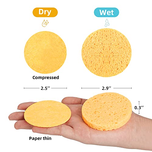 60-Count Compressed Facial Sponges|100% Natural Kickleen Cellulose Cosmetic Spa Sponges for Daily Facial Cleansing|Makeup and Mask Removal | Exfoliating | Skin Massage | Pore Exfoliation (Yellow) - color: Yellow