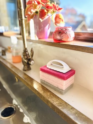 Bright Box Pink Scrubber Set w/Handle, 4ct – Premium Scrub Brushes for Cleaning, Scrubbing, and More – Durable & Ergonomic Design for Effortless Use