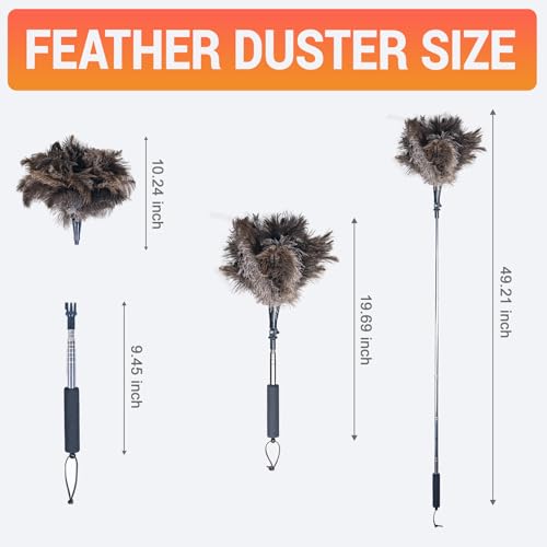 Luxury Black Curved Feather Duster, Extendable Ostrich Feather Cleaning Tool for High Ceilings, Furniture, Blinds, Walls, Soft Fluffy Long Handle Dusting(A13-Black) - color: Black-a2