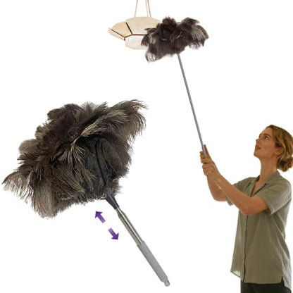 NCEDN Genuine Ostrich Feather Duster 40 Inches - Extendable Stainless Steel Handle, 8 Inches Long Thick Feathers, Telescopic Duster for Ceiling Fans, Blinds, Furniture, Car, Washable - color: Natural