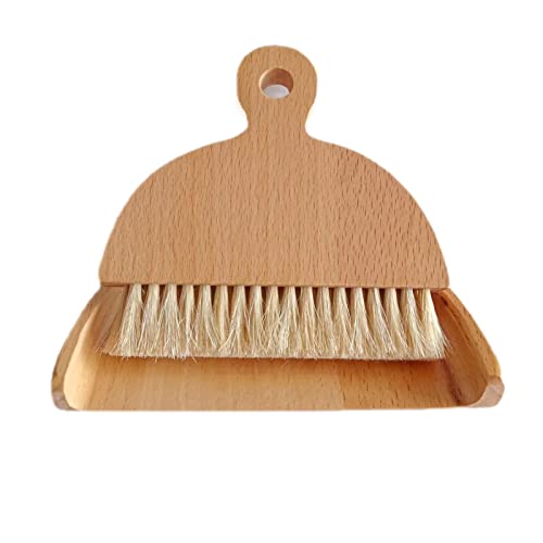 Dustpan and Brush Set Small Broom and Dustpan Set Dust Pan and Brush Set for Traveling, Rvs, Campers Campsites, Dorm Rooms, an Art Studio and More 1 Set