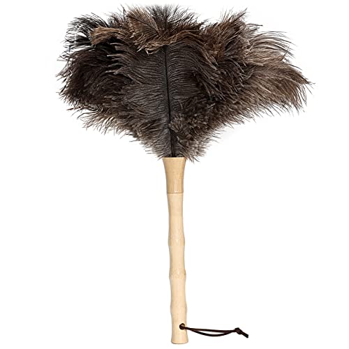 Ostrich Feather Duster 16 inch Feather Duster Fluffy Natural Genuine Ostrich Feathers with Wooden Handle and Eco-Friendly Reusable Handheld Ostrich Feather Duster for Cleaning Supplies - color: Model-a-brown-1 Piece