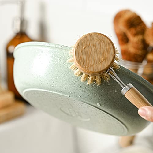 Jungle Culture Replacement Brush Heads for Eco Dish Brush • Wooden Washing Up Brush Heads Pack of 4 • Interchangeable Soft Bristle Refills • Natural Dish Scrubbers • Zero Waste Cleaning Products