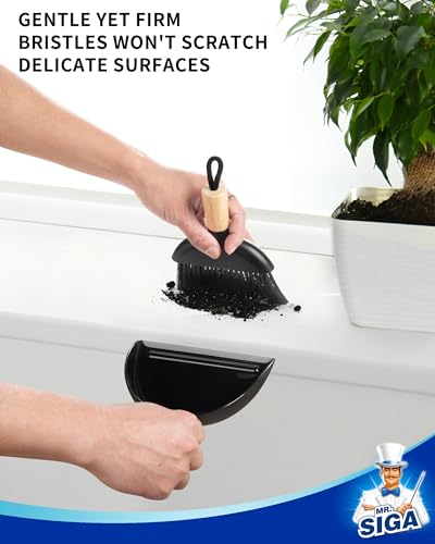 MR.SIGA Mini Dustpan and Brush Set, Portable Cleaning Brush and Dustpan Combo with Bamboo Handle, Black, 1 Set - color: Black