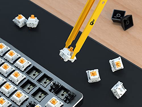 Glorious Platform - Acrylic Mechanical Switch and Stabilizer Lubrication Kit - Includes Keycap, Switch Pullers, Opener, Lube Brush, Synthetic G-Lube
